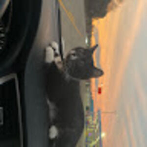 Meet your Posher, Emma